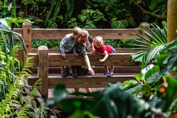 VisitPlay-FamilyBolz