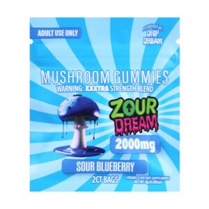 Zour Dream Mushroom Gummies 2ct - Sour Blueberry
